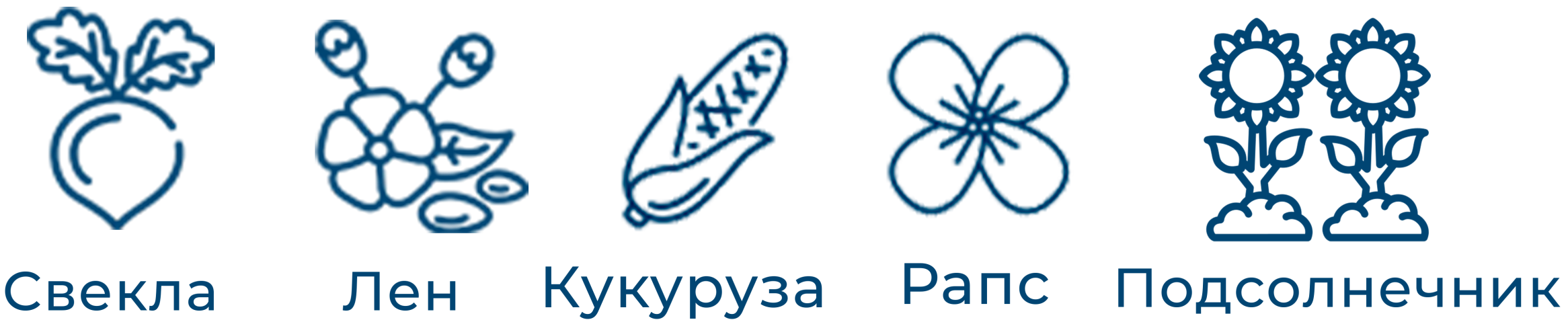 silitra-1-scaled (1)