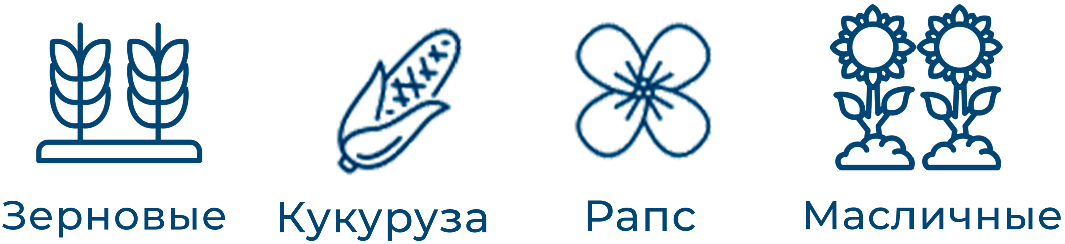 silitra34-1-scaled (1)